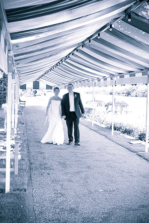 Phyllis Court, Henley, Wedding Photographer