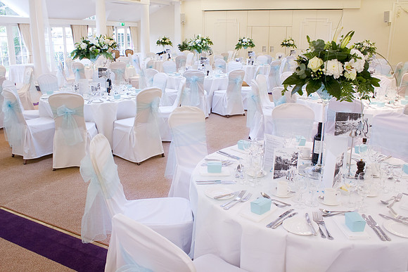 Phyllis Court, Henley, Wedding Photographer