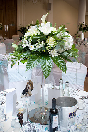 Phyllis Court, Henley, Wedding Photographer