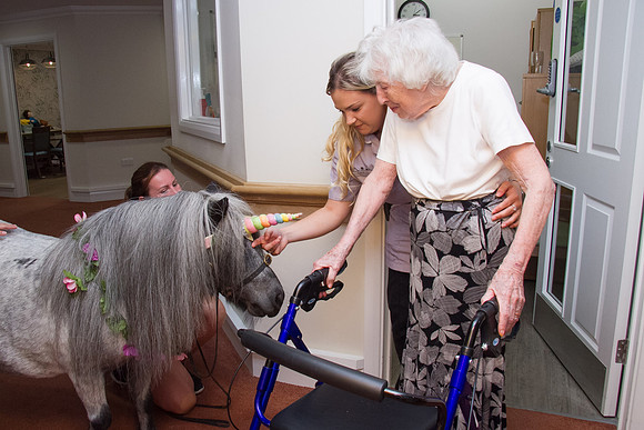 WPR014-020