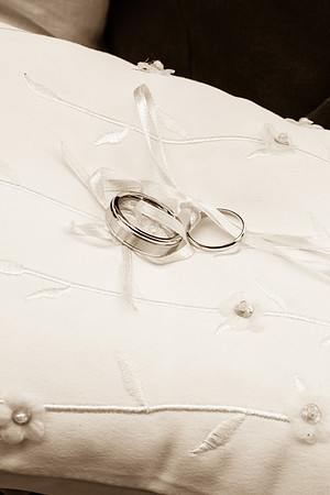 Wedding Photographer Hastings