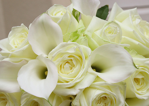 Chelsea Registry Office Wedding Photography
